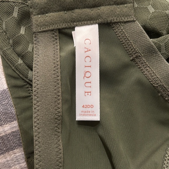 Lane Bryant bra - Picture 3 of 3